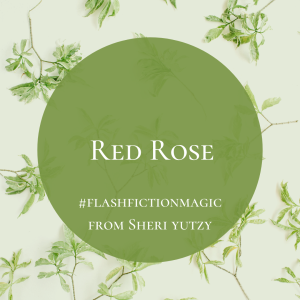 RED ROSE - #flashfictionmagic