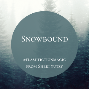 SNOWBOUND - #flashfictionmagic