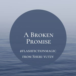 #flashfictionmagic #sheriyutzy