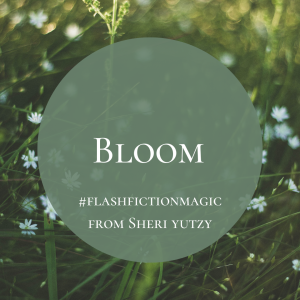 #flashfictionmagic by Sheri Yutzy