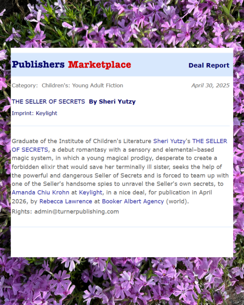 The Seller of Secrets YA Romantasy